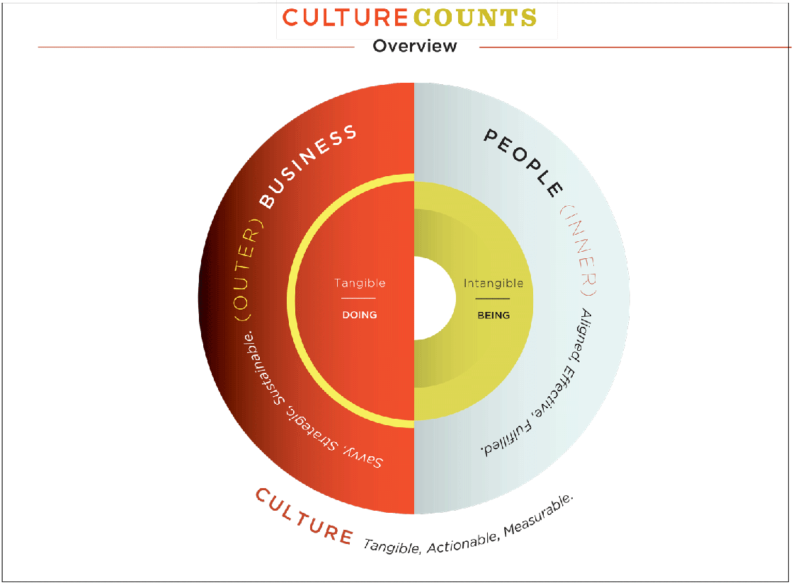 Culture Counts Overview work system